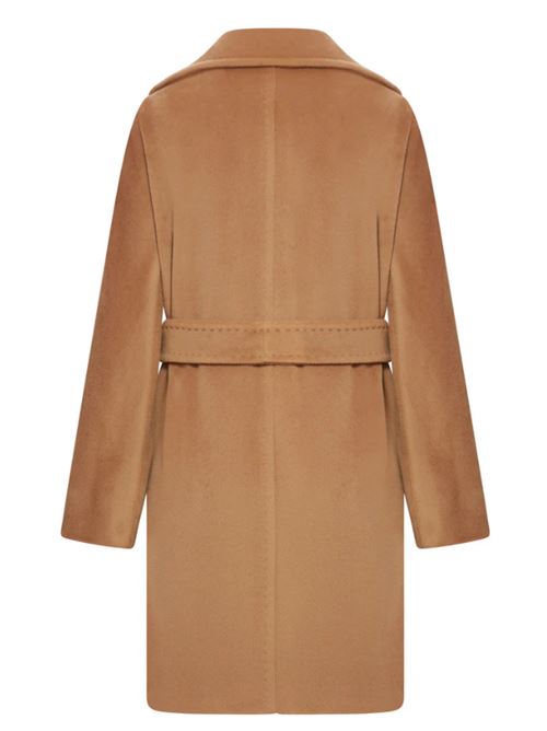 SCIRE MAXMARA | 2526016112600002 CAMMELLO